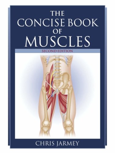 Beispielbild fr The Concise Book of Muscles zum Verkauf von WorldofBooks