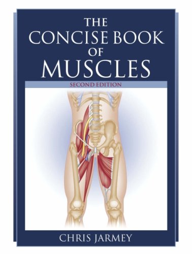 9781905367115: The Concise Book of Muscles