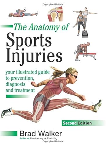 9781905367382: The Anatomy of Sports Injuries: Your Illustrated Guide to Prevention, Diagnosis and Treatment