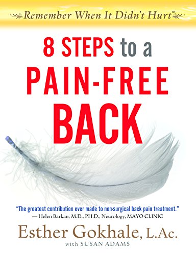 9781905367450: 8 Steps to a Pain-Free Back: Natural Posture Solutions for Pain in the Back, Neck, Shoulder, Hip, Knee, and Foot