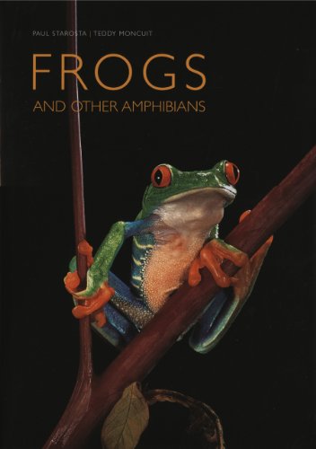 Imagen de archivo de Frogs: And Other Amphibians a la venta por Front Cover Books