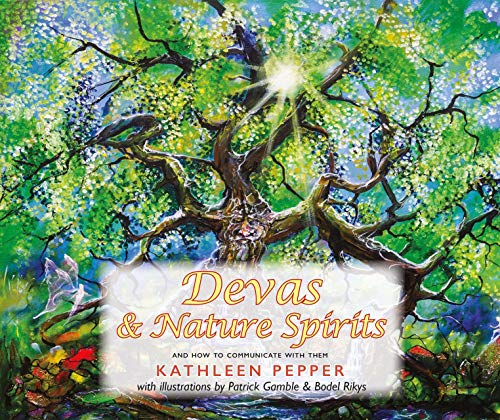 Beispielbild fr Devas and Nature Spirits : And How to Communicate with Them zum Verkauf von Better World Books