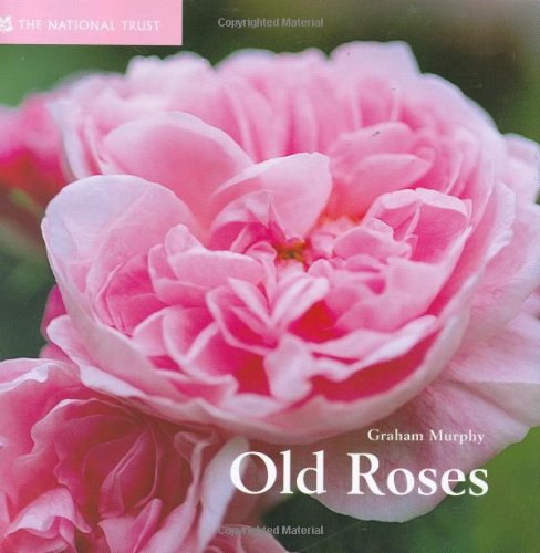 Beispielbild fr Old Roses (National Trust Gardens by Design) zum Verkauf von WorldofBooks