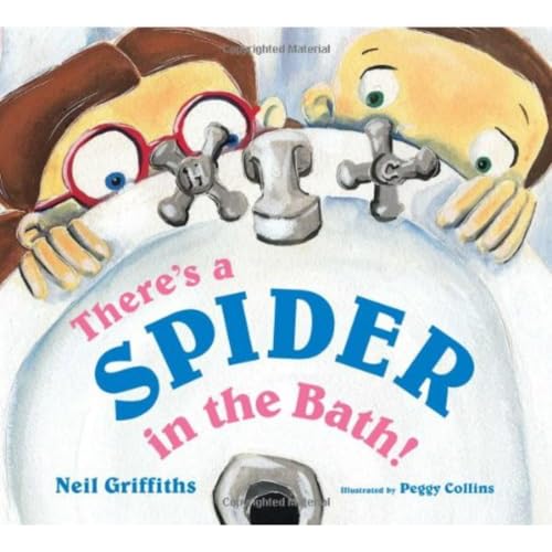 9781905434152: There's a Spider in the Bath!: 0