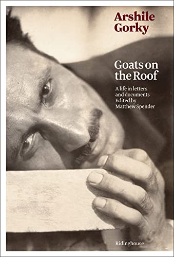 9781905464258: Arshile Gorky: Goats on the Roof /anglais