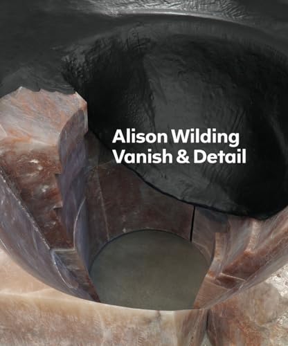 Imagen de archivo de Alison Wilding: Vanish & Detail a la venta por ThriftBooks-Atlanta