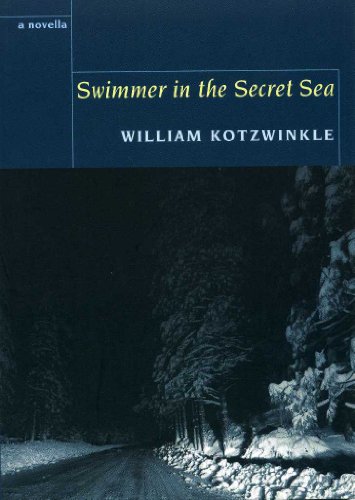 9781905512508: Swimmer in the Secret Sea
