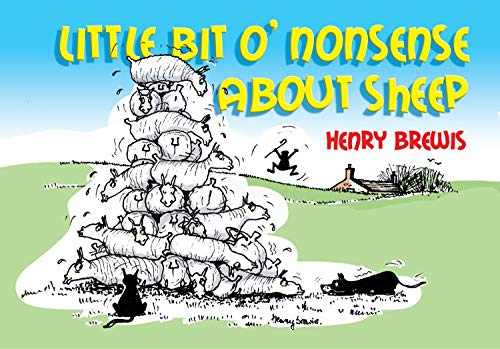 9781905523979: Little Bit O'nonsense About Sheep