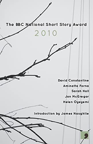 Beispielbild fr The BBC National Short Story Award 2010 zum Verkauf von GF Books, Inc.
