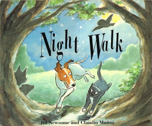 Beispielbild fr Night Walk zum Verkauf von WorldofBooks