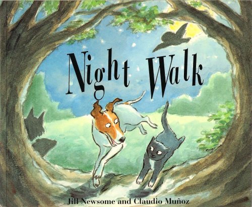 Stock image for Night Walk for sale by WorldofBooks