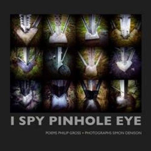 Beispielbild fr I Spy Pinhole Eye zum Verkauf von WorldofBooks