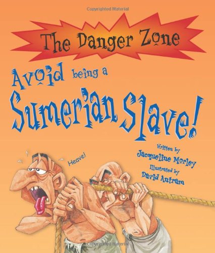 Avoid Being a Sumerian (Danger Zone) (Danger Zone) (9781905638086) by Jacqueline Morley
