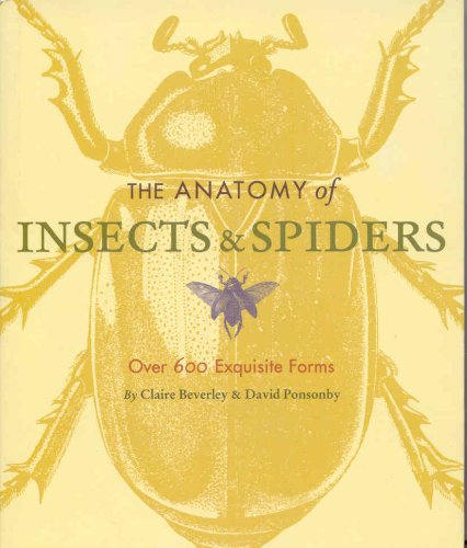 Stock image for The Anatomy of Insects and Spiders: Over 600 Exquisite Forms for sale by WorldofBooks