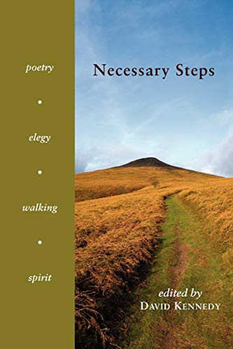 Stock image for Necessary Steps: Poetry, Elegy, Walking, Spirit for sale by THE SAINT BOOKSTORE