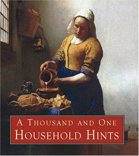 A Thousand and One Household Hints (Book Blocks) (9781905716227) by Gill Davies