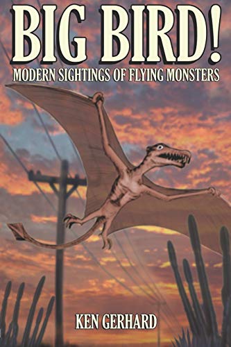 Beispielbild fr Big Bird! - Modern Sightings of Flying Monsters zum Verkauf von Half Price Books Inc.