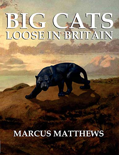 Beispielbild fr Big Cats Loose in Britain zum Verkauf von Buchpark
