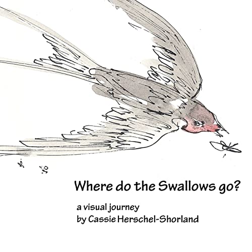 Stock image for Where Do The Swallows Go? for sale by Lucky's Textbooks