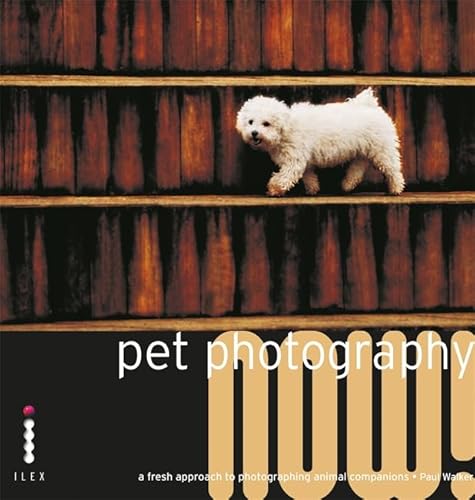 Beispielbild fr Pet Photography Now!: A Fresh Approach to Photographing Animal Companions zum Verkauf von Reuseabook