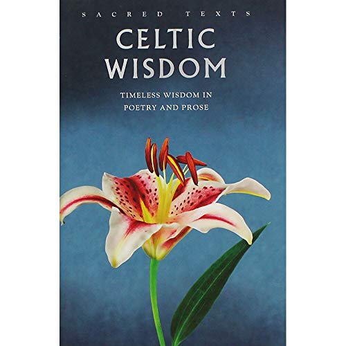 Stock image for Celtic Wisdom for sale by Book Express (NZ)