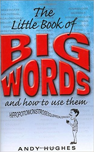 The Little Book of Big Words (9781905862030) by Hughes, Andy