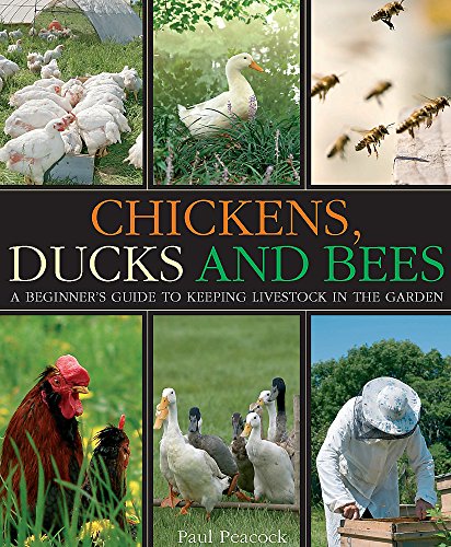 Stock image for Chickens, Ducks and Bees: A beginner's guide to keeping livestock in the garden for sale by HPB-Diamond