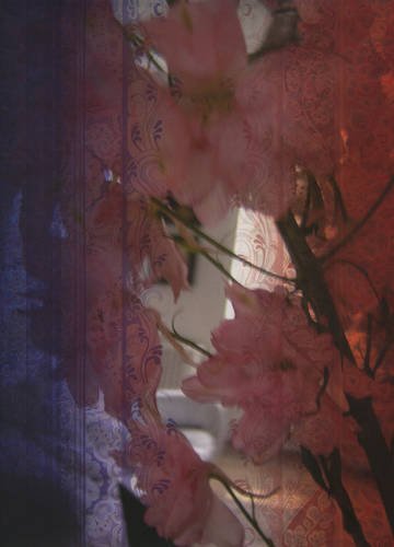 Imagen de archivo de Awakening: La France Mandarine a la venta por Don Kelly Books