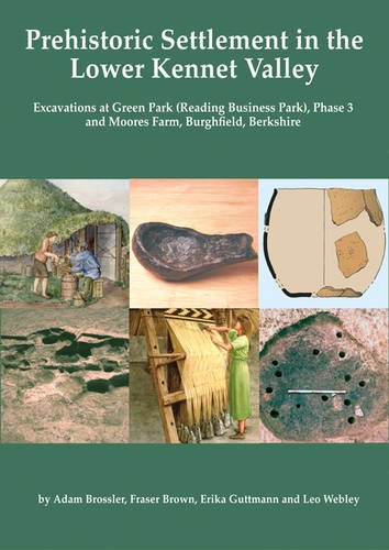 Beispielbild fr Prehistoric Settlement in the Lower Kennet Valley: Excavations at Green Park (Reading Business Park) Phase 3 and Moores Farm, Burghfield, Berkshire zum Verkauf von Revaluation Books