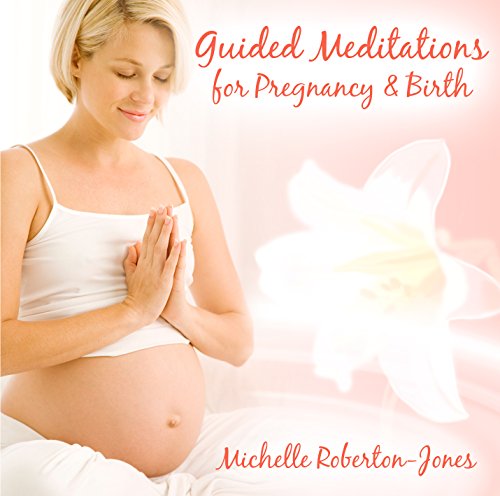 Imagen de archivo de Guided Meditation for Pregnancy and Birth: PMCD0109 (Audio CD) a la venta por Revaluation Books