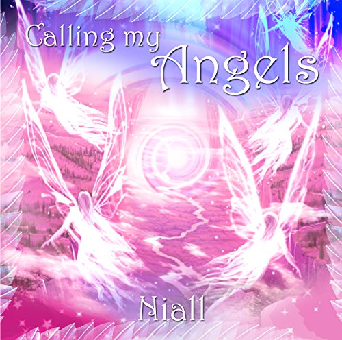 Calling My Angels (9781905907724) by Niall