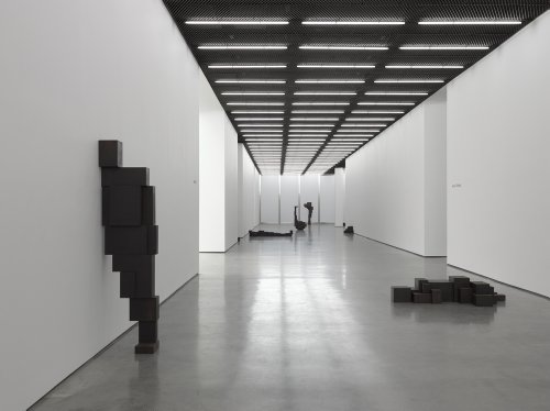 9781906072773: Antony Gormley: Model