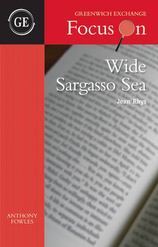 Stock image for Wide Sargasso Sea by Jean Rhys (Focus on) for sale by Ria Christie Collections