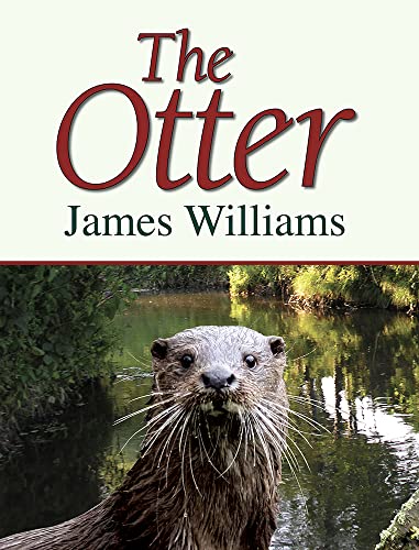 Beispielbild fr The Otter zum Verkauf von WorldofBooks