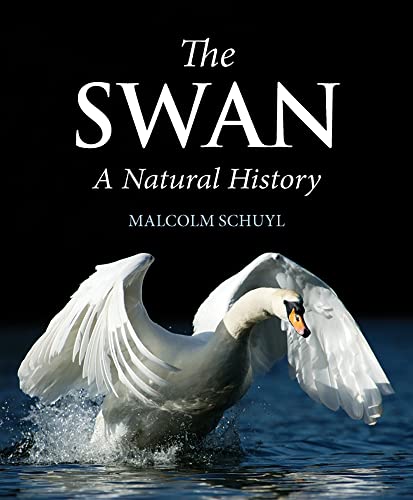 Swan: A Natural History