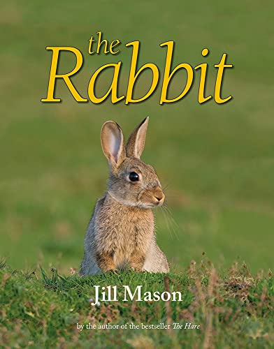 Beispielbild fr The Rabbit zum Verkauf von Books From California