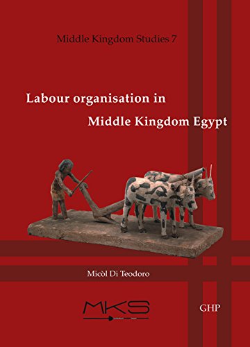 Imagen de archivo de Labour organisation in Middle Kingdom Egypt (Middle Kingdom Studies) a la venta por Books From California