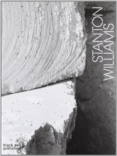 Volume: Stanton Williams (9781906155872) by David Taylor