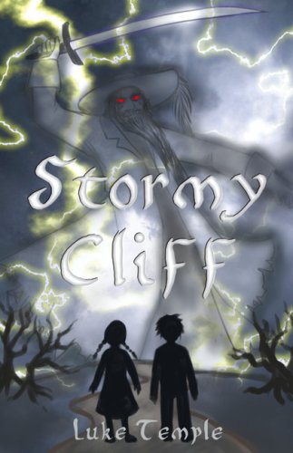 9781906206949: Stormy Cliff