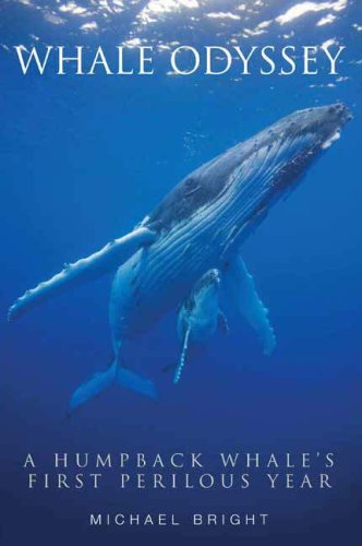 Stock image for Whale Odyssey: A Humpback Whale's First Perilous Year for sale by WorldofBooks