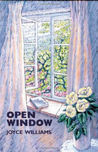 Beispielbild fr Open Window zum Verkauf von Reuseabook