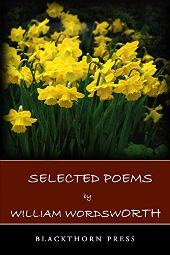 9781906259181: Selected Poems