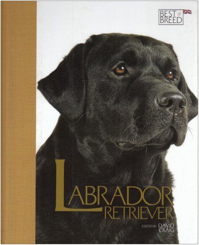 Imagen de archivo de Labrador Retriever (Best of Breed) a la venta por WorldofBooks