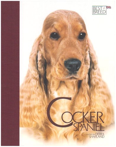 Imagen de archivo de Cocker Spaniel (Best of Breed) a la venta por AwesomeBooks