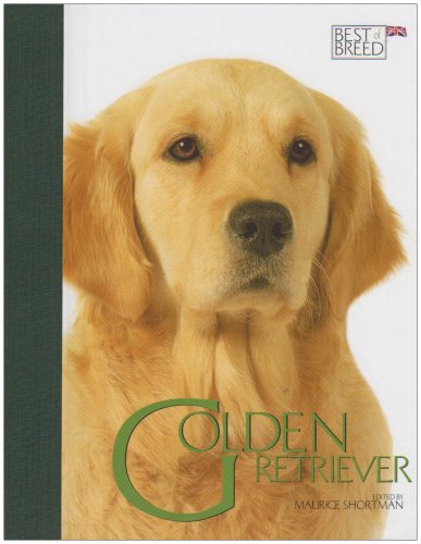 Stock image for Golden Retriever (Best of Breed) for sale by Reuseabook