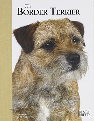 Border Terrier - Best Of Breed. & Canine Cuisine