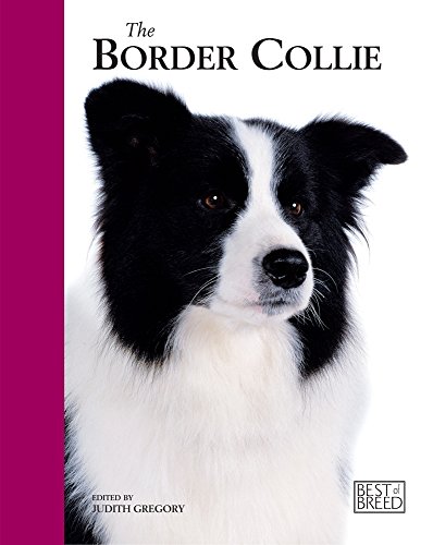Beispielbild fr Border Collie - Best of Breed zum Verkauf von WorldofBooks
