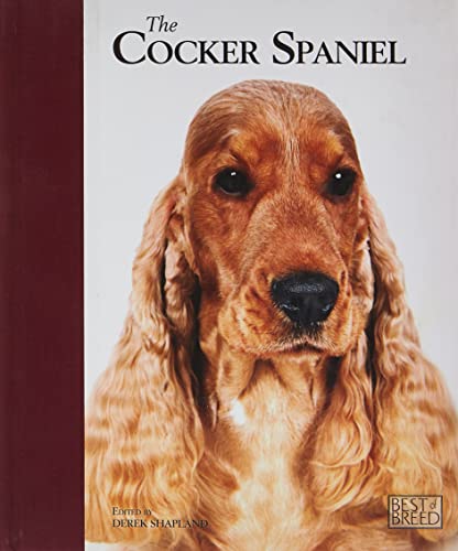 Stock image for Cocker Spaniel (Best of Breed) for sale by WorldofBooks
