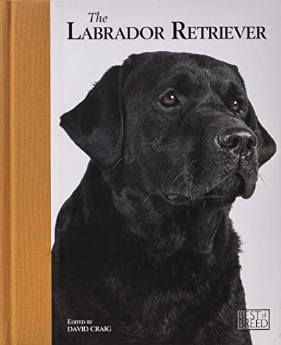 Imagen de archivo de Labrador Retriever - Best of Breed: Pet Book a la venta por WorldofBooks