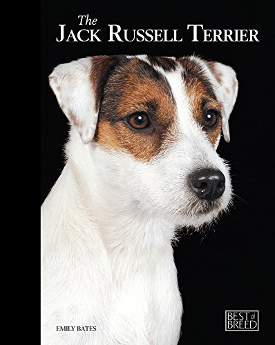 Beispielbild fr Jack Russell Terrier zum Verkauf von Better World Books